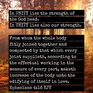 Ephesians 4:16 KJV